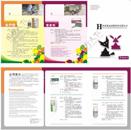动物药业画册设计