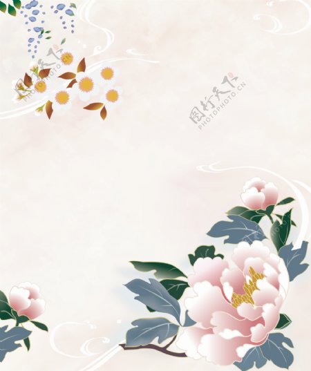 韩式花卉工笔画