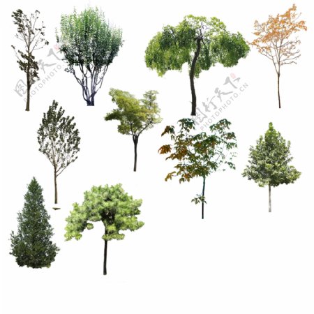 3D室外效果图环境素材小树