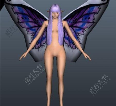 蝴蝶精灵游戏模型