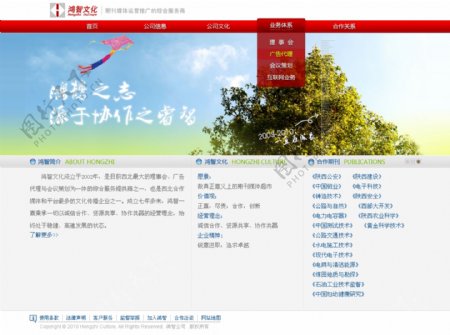 公司网站设计中文模板21图片