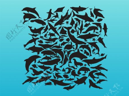 海洋动物图案均数向量图片