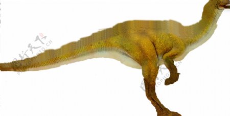 动物恐龙爬行类3d模型素材免费下载动物模型9