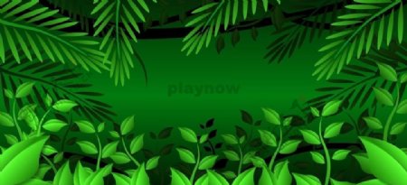 绿色植物生长图片