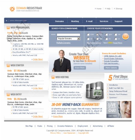 服务器域名服务公司网页模板