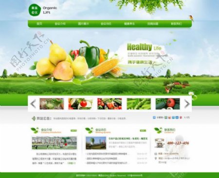 生态绿色农业网站模板psd素材