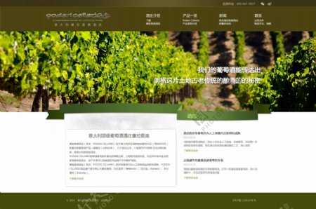 清新风格葡萄酒庄园网站设计图片
