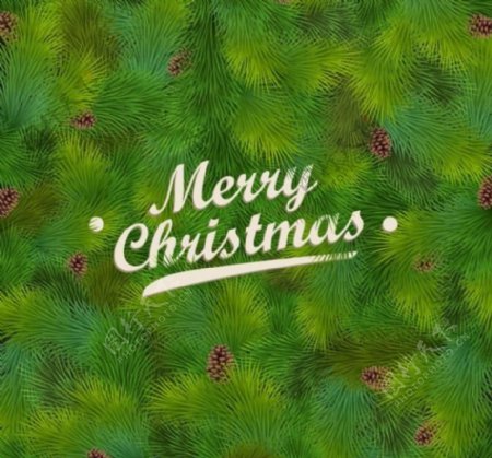 绿色松树枝圣诞背景图片