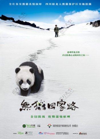 熊猫回家路电影海报设计免费下载