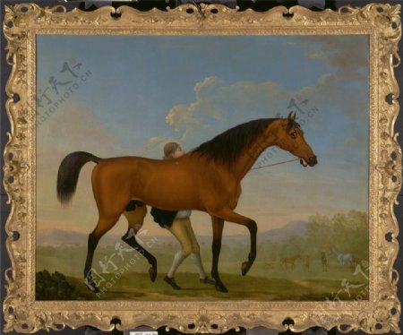 马匹油画装饰素材