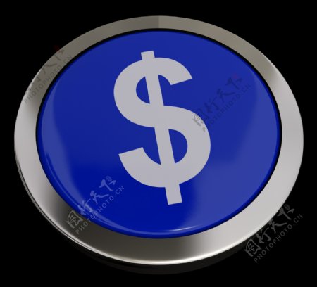 蓝色显示的钱或投资美元符号按钮