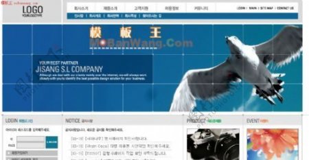 韩国鹰击长空网页模板