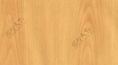 榉木09木纹木纹板材木质