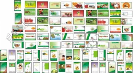 水果行业名片卡片