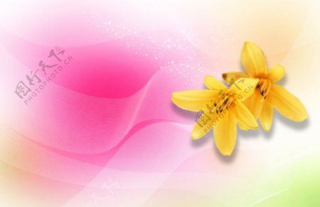 粉红花朵背景相册PSD素材