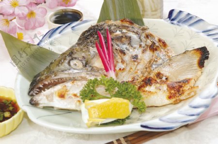 日本料理烤三文鱼头