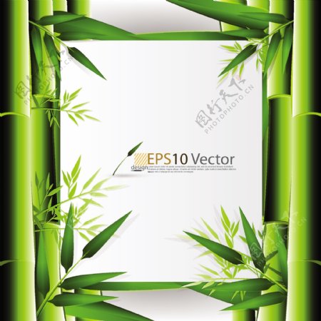 矢量素材绿色竹子植物边框