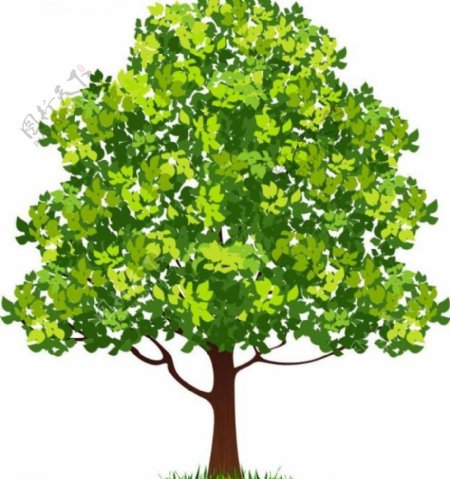 绿树矢量图图片