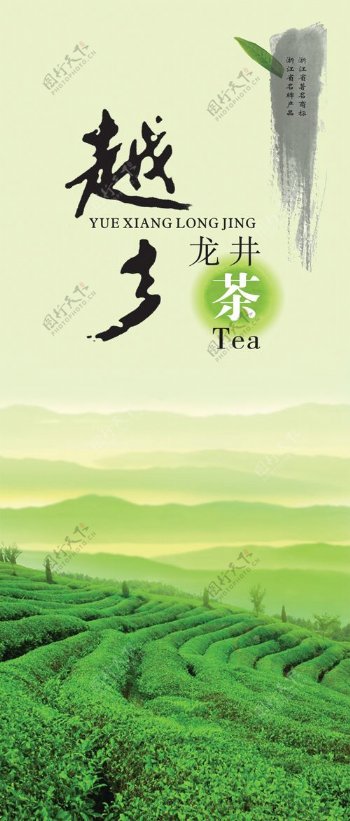 越乡龙井茶