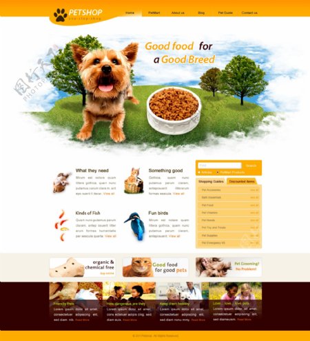 宠物商品网站