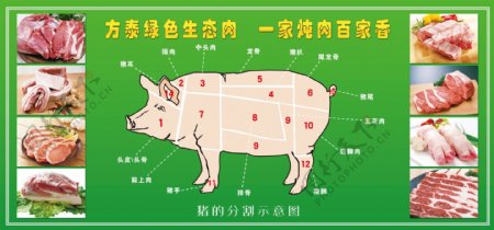 猪的分割示意图