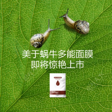蜗牛面膜宣传广告