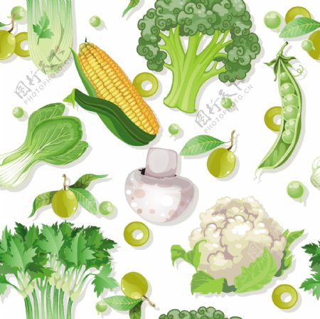蔬菜矢量图