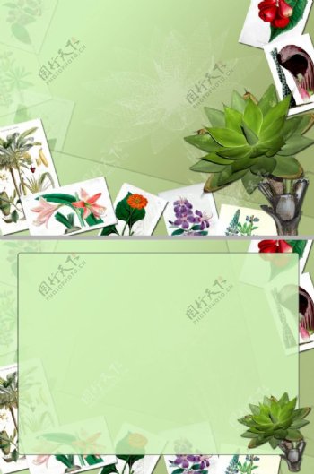 植物照片背景ppt模板
