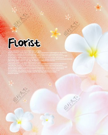 HanMaker韩国设计素材库背景色调温馨花朵