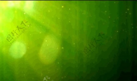 自然绿色的粒子光斑背景循环视频素材