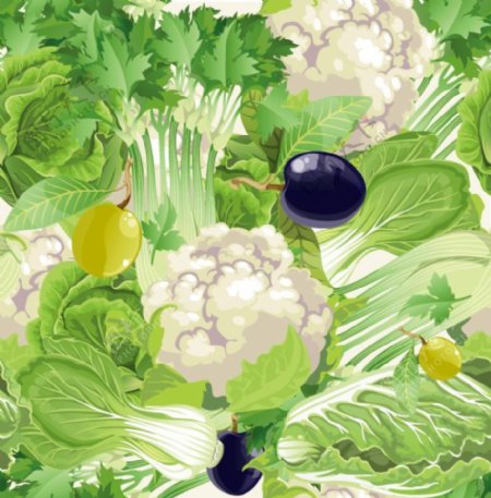 绿色蔬菜矢量图