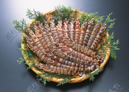 海洋生物海鲜草虾图片