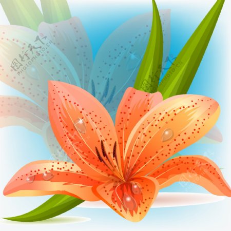 印花矢量图植物花卉花朵色彩免费素材