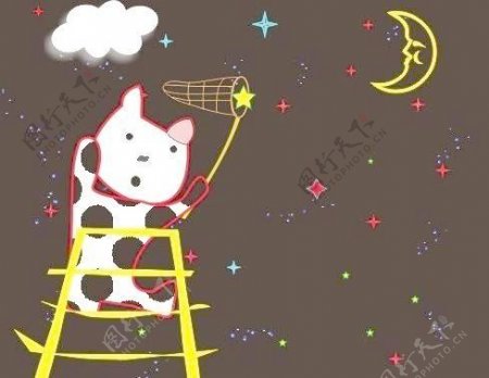 小猫摘星星