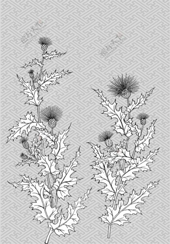 线描植物花卉矢量素材10古典纹理背景与花卉