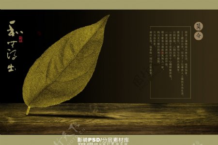 中国风PSD画报素材黄金叶