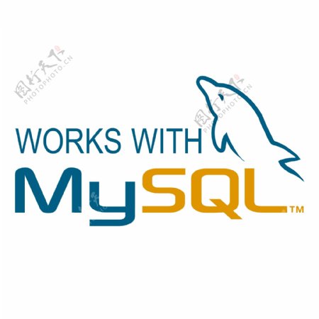 MySQL1