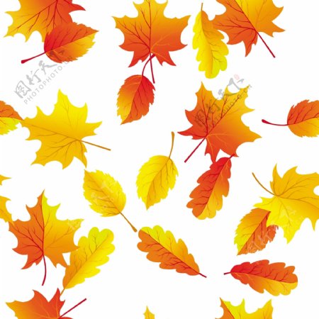 矢量绚丽秋季树叶背景素材