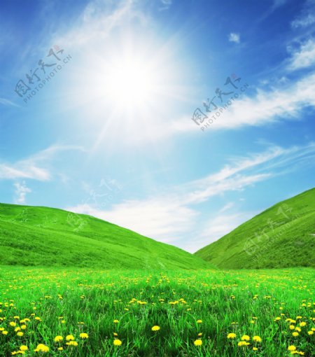 阳光照耀的草地