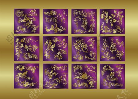 12异国情调的金花卉矢量的装饰品