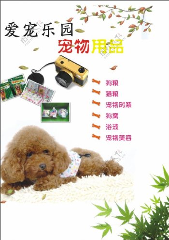 宠物用品海报