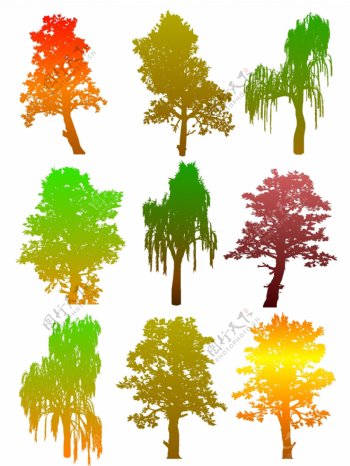 8丰富多彩的秋天的树的剪影