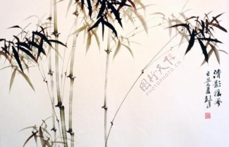 中国国画兰竹图片