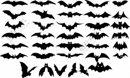 蝙蝠剪影ps的形状矢量文件csh含ai图片