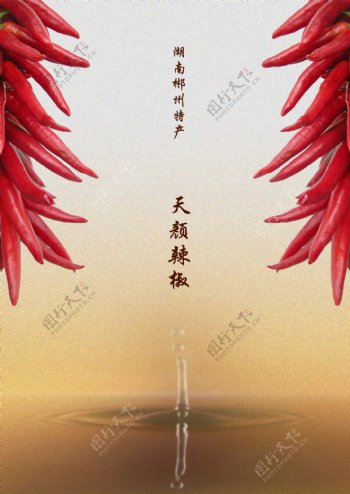 辣椒广告设计海报图片
