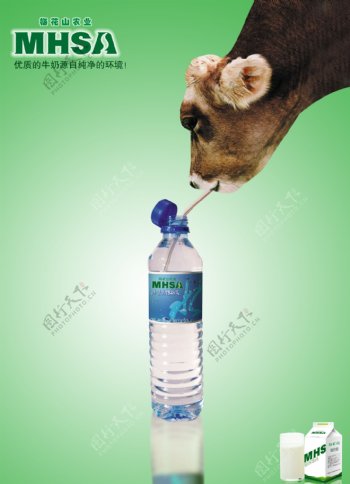 梅花山牛奶广告图片