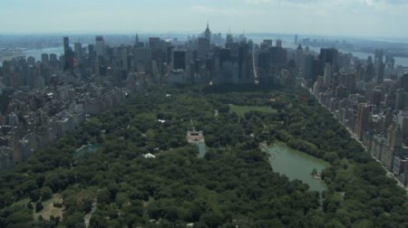 纽约市中央公园股票视频视频免费下载