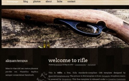 木质步枪信息网页模板