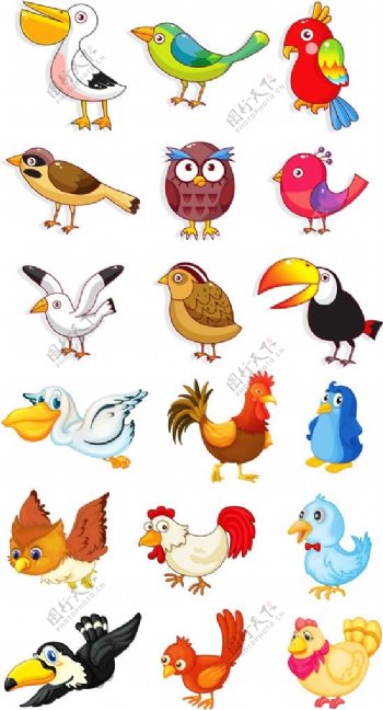 卡通家禽和鸟类矢量素材