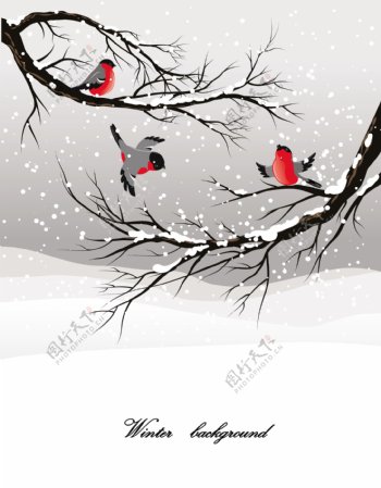 冬天的雪鸟插画矢量素材